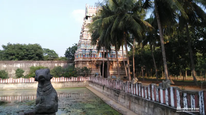 A stone Nandi beside a green tank with a striped wall, and a gopuram among coconut palms
