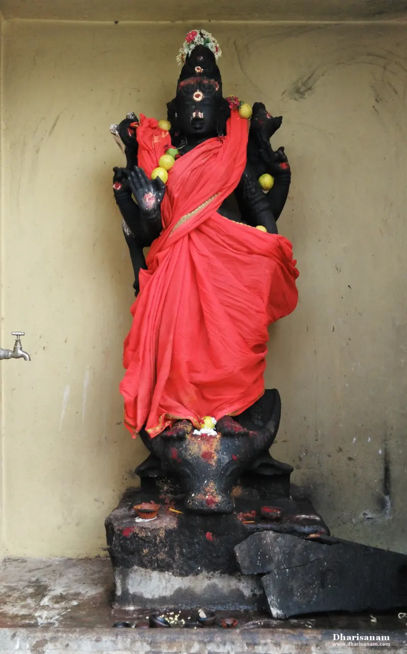Dark stone goddess idol in a red sari with a garland, standing in a plain wall niche