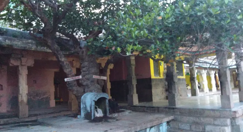 A gnarled tree grows between pillared halls, with a small blue-grey shrine at its base.