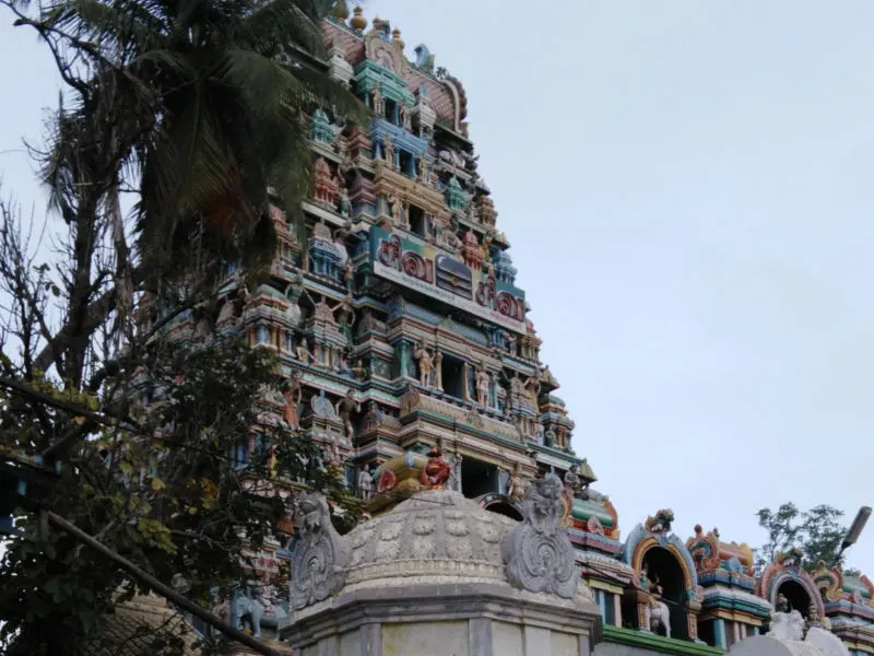 A view of the temple, placed beside the account of its building.