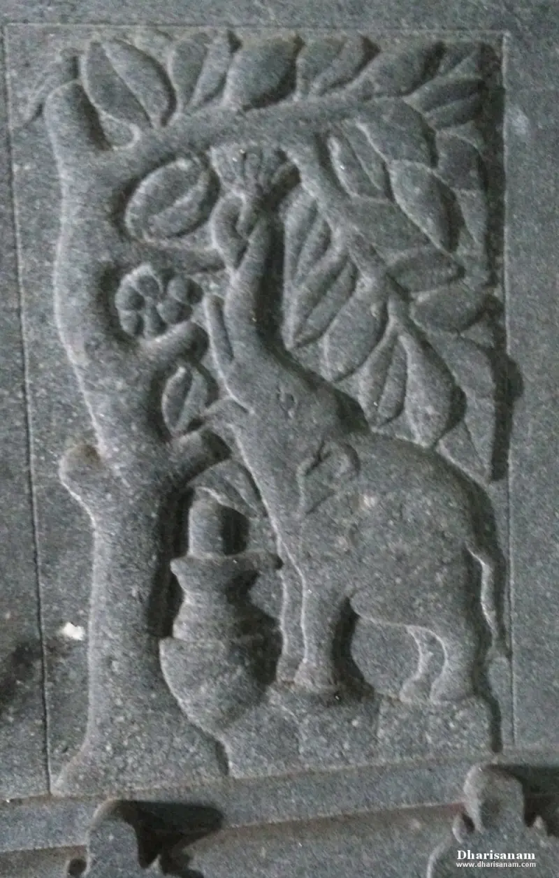 A stone relief of an elephant raising its trunk to the leaves of a tree, with a pot at its feet