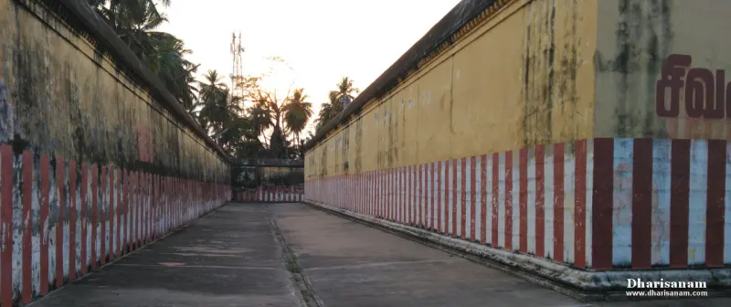 A long paved passage between two high walls with red and white stripes at the base, palms in the distance