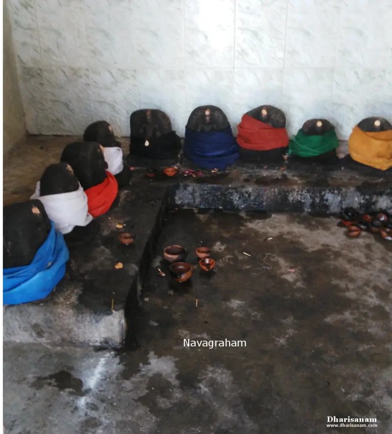 Nine dark stone images, each draped in a different coloured cloth, with small clay lamps before them