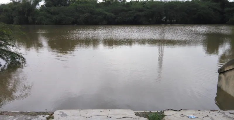 A wide tank of brown water with trees along the far bank and a stone edge in the foreground.