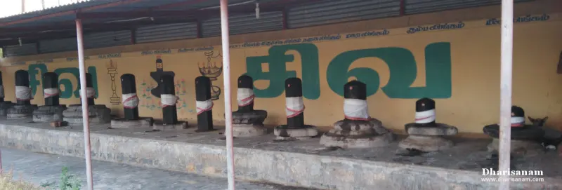 Row of small black lingams with white bands along a wall painted yellow, with a large Tamil letter on it