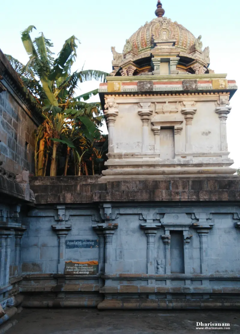 A banana plant grows beside a stone wall topped by a small shrine with a ribbed dome and two small name boards