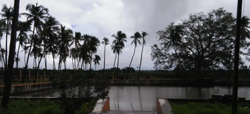 A still tank with stepped sides, surrounded by tall palm trees under a cloudy sky.