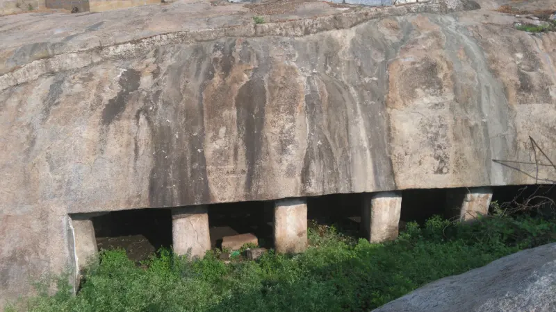 A huge rock face resting on short stone pillars, with dark gaps and green plants below