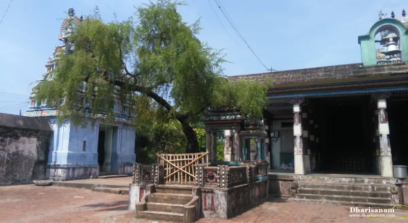 A leafy tree beside a railed platform, with a pillared hall and a tower in the background