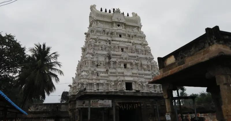 The temple's tiered tower covered in white stucco figures, with palm trees beside it.