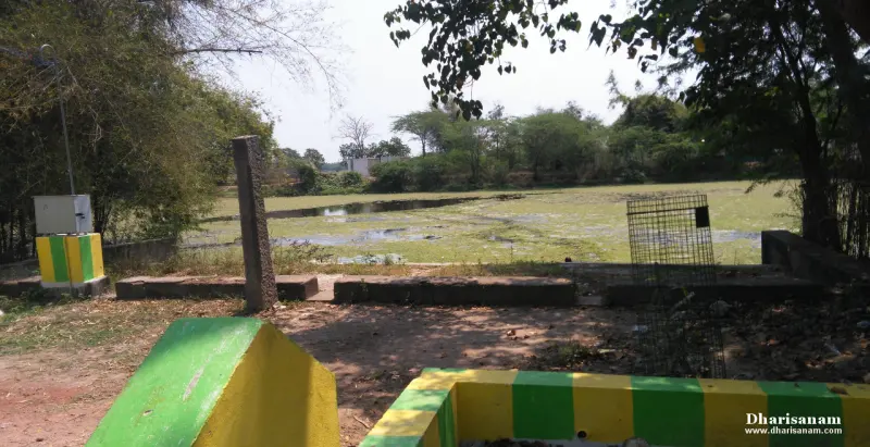 A wide pond covered in green weed, with trees along the far bank and low walls in front