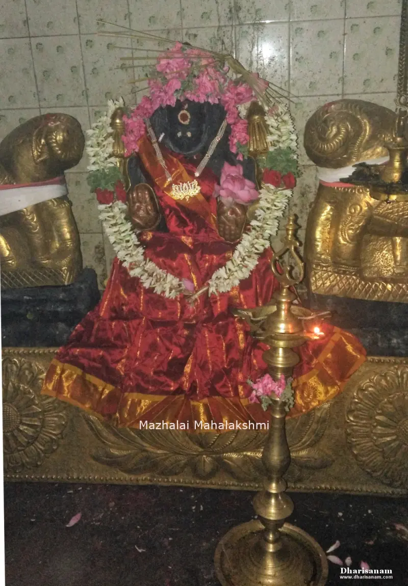 Garlanded black idol dressed in a red silk sari, with a brass lamp in front
