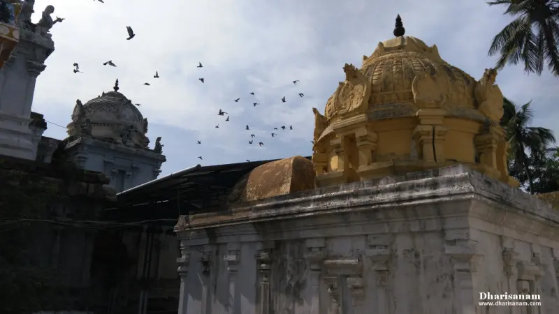 A yellow dome on a white shrine and a smaller grey dome beyond it, with a flock of pigeons in the sky