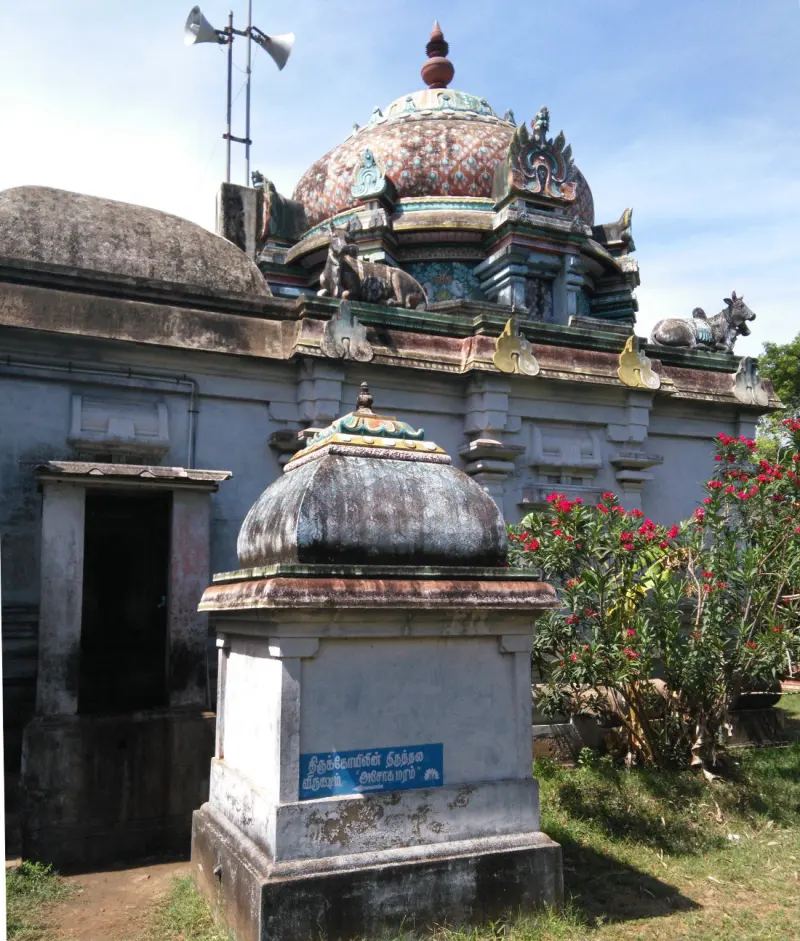 Painted tower with Nandi bulls and a red flowering bush beside it