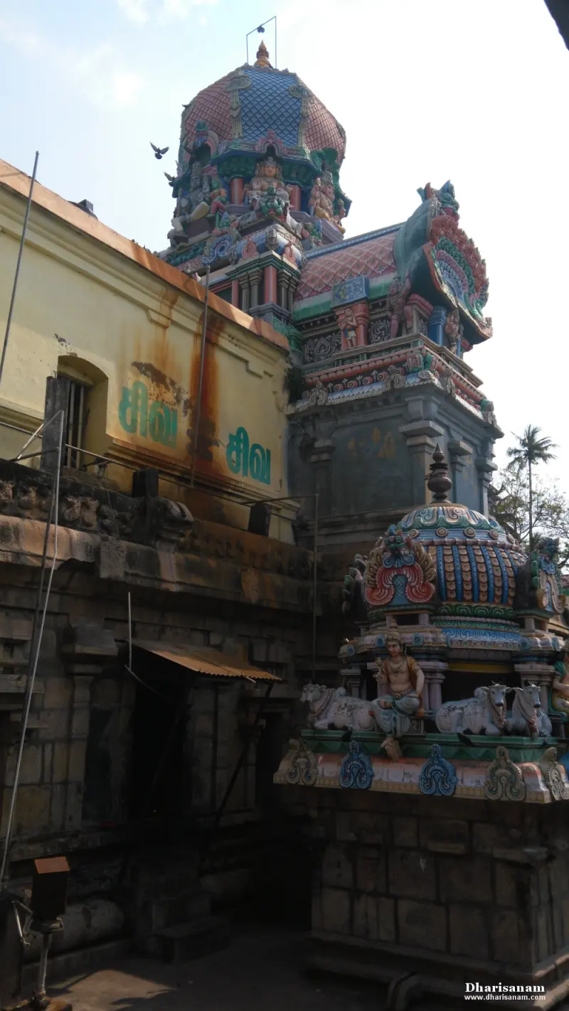 Painted domed tower roofs with figures and a bull statue rising above stone and yellow-washed walls
