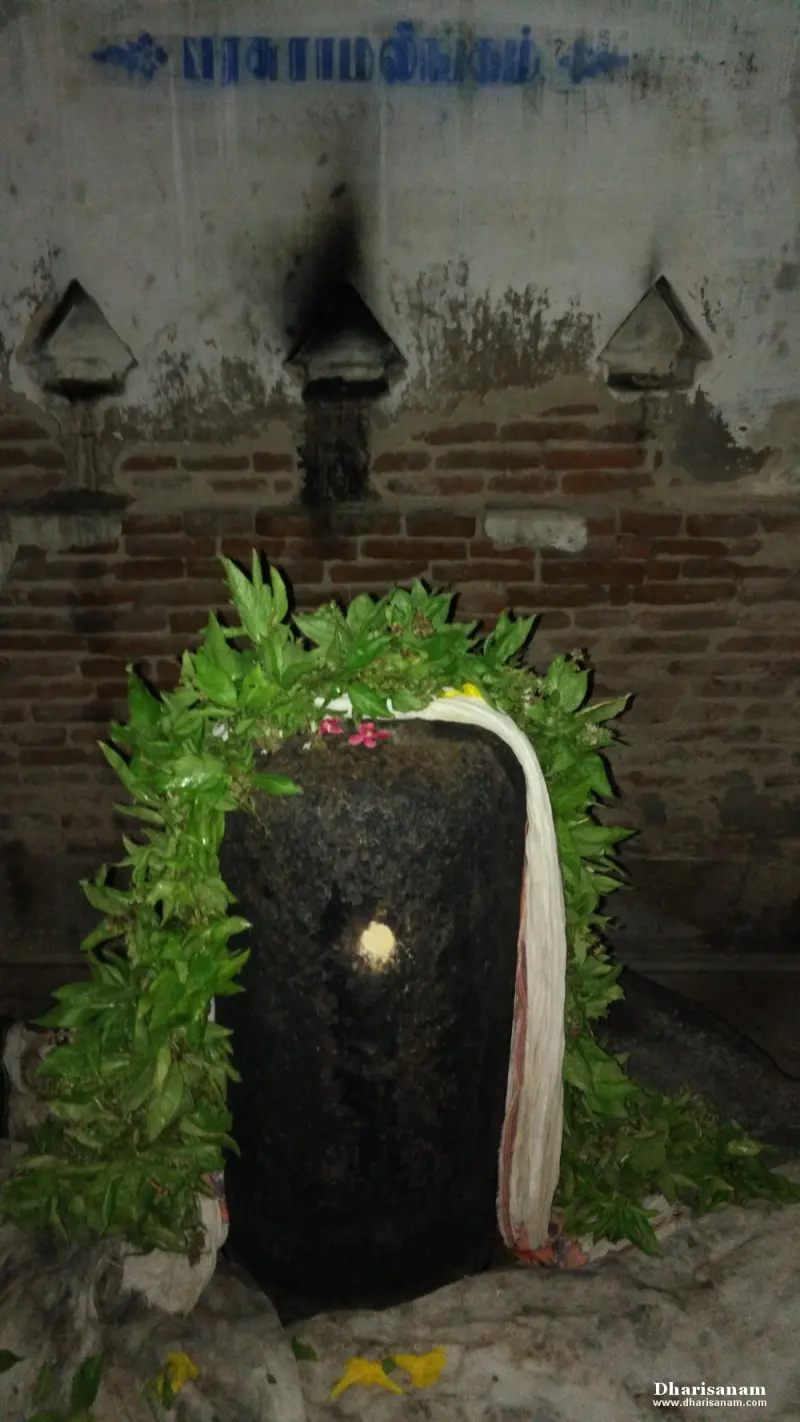 A black Shivalingam wrapped in green leaves and a white cloth, with blue Tamil lettering on the wall above.
