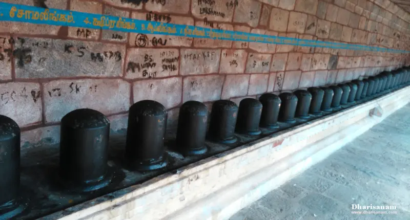 Many black lingams placed side by side along a wall that carries a blue band of Tamil names