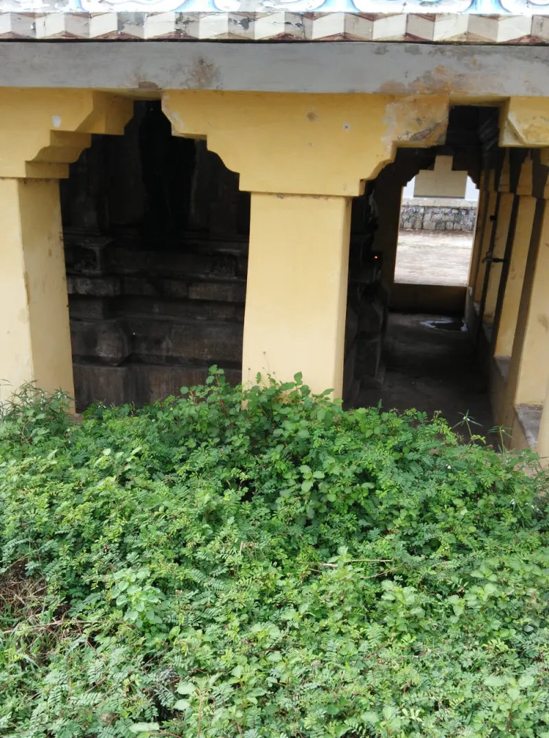 A yellow-pillared corridor opening onto a dark stone shrine, with green plants growing in the foreground.