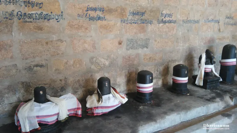 Black Shivalingams in a row along a stone corridor wall, each wrapped in a cloth, with Tamil names above