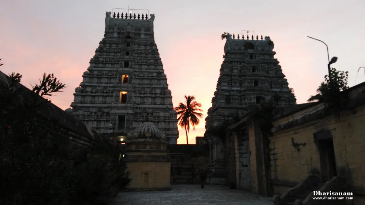 Two tall stone towers against a pink evening sky, a palm tree between them and a small shrine below