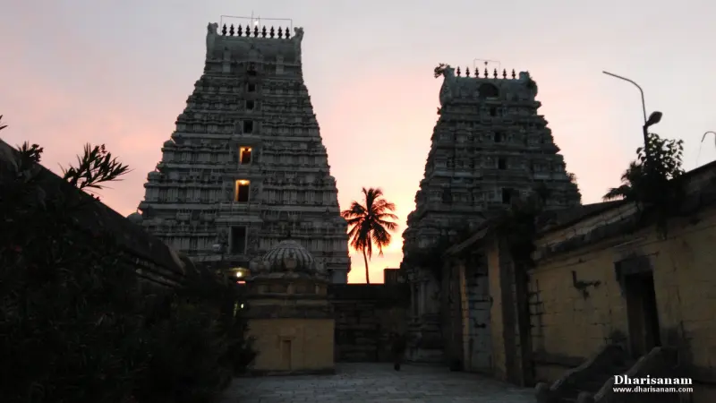 Two tall stone towers against a pink evening sky, a palm tree between them and a small shrine below