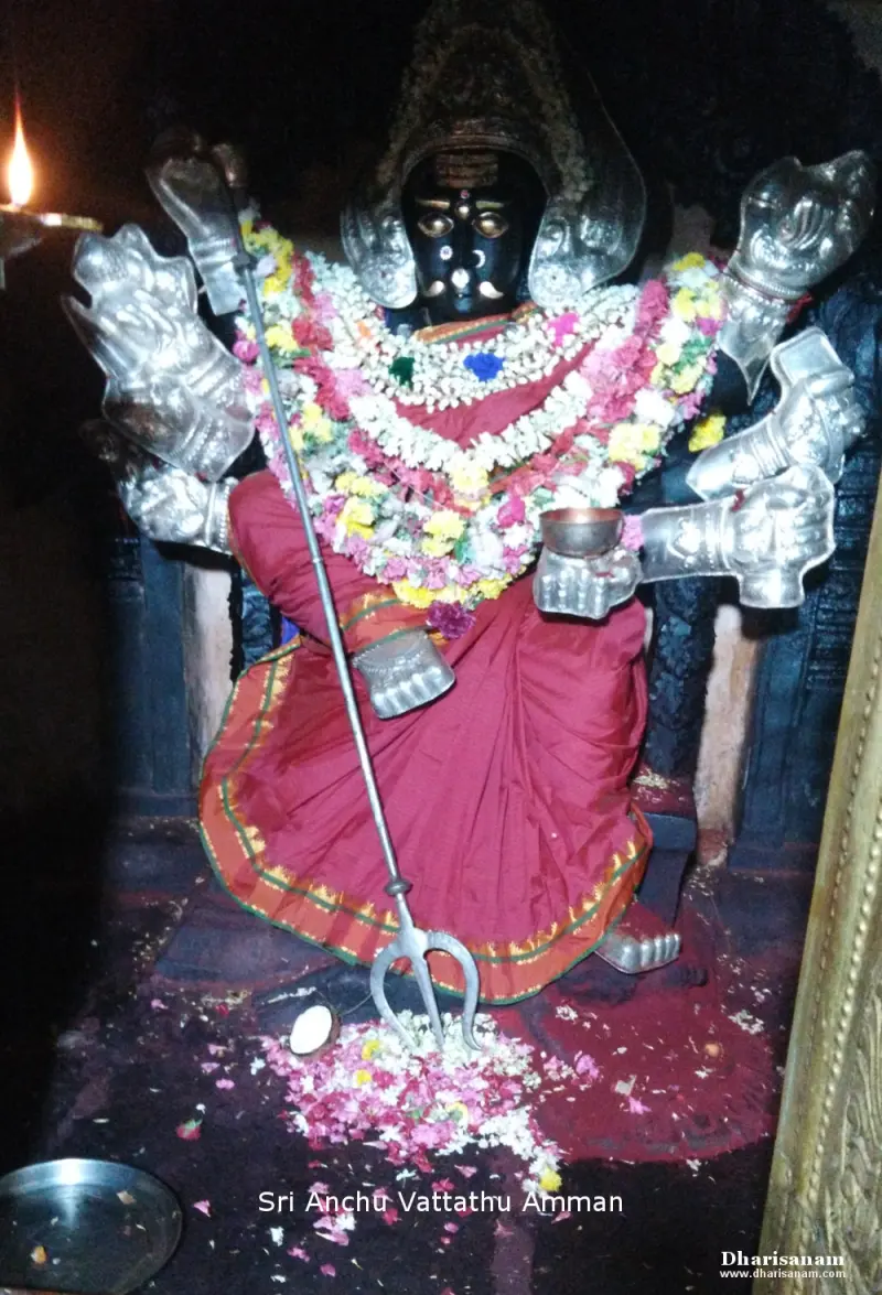 A dark goddess idol with silver arms, a red sari, flower garlands and a trident, with petals at her feet.