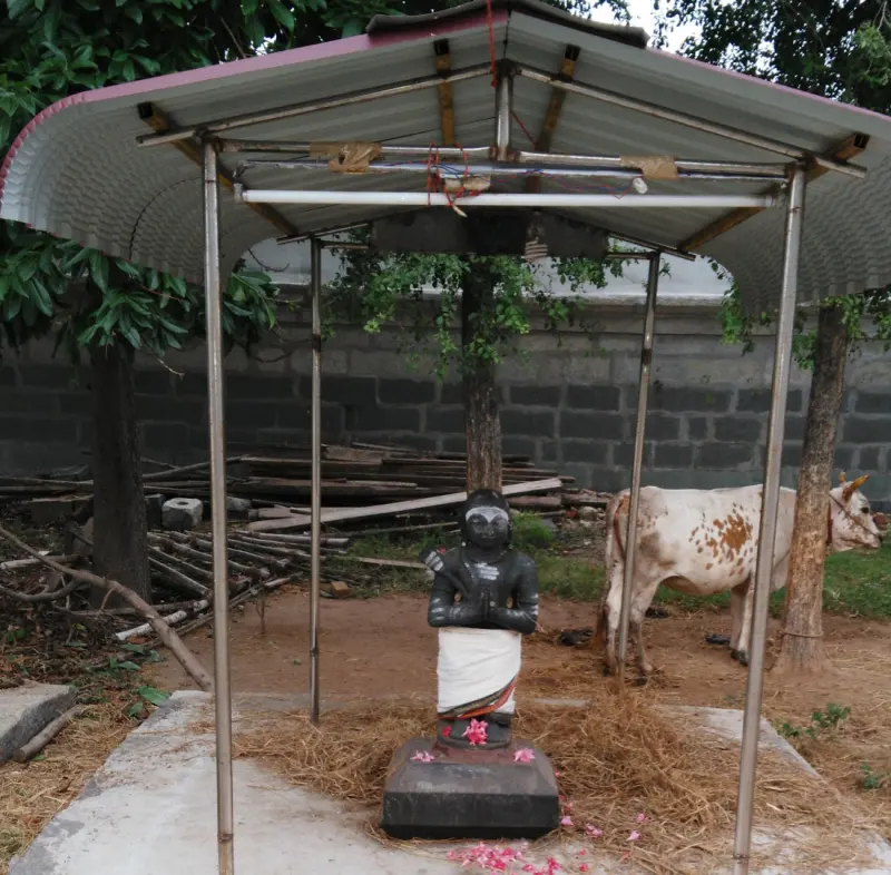 Black folded-hands statue under a tin shelter, with a cow behind