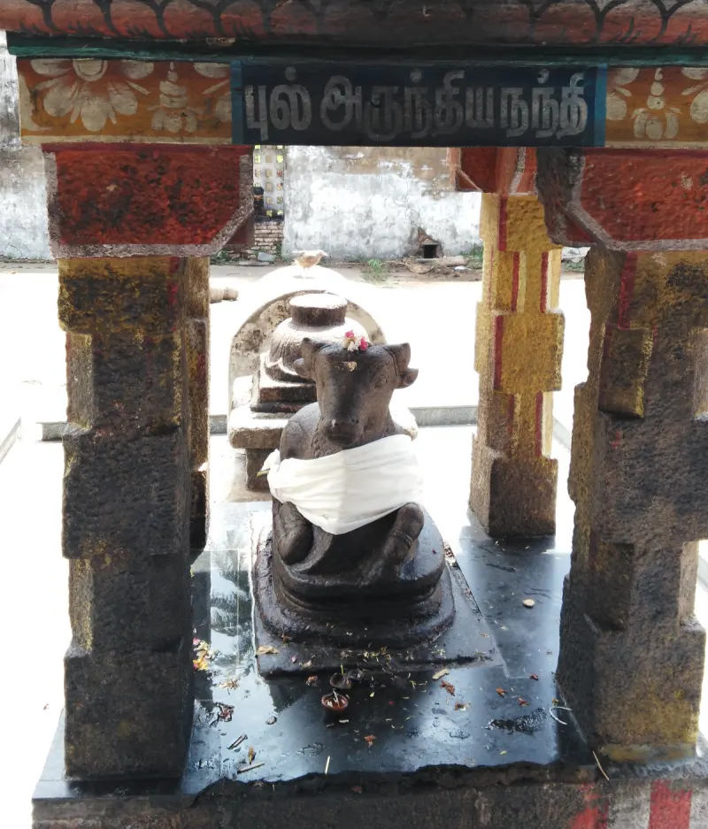 A stone Nandi with a white cloth and flowers, seated in a small pillared shrine open to the courtyard.