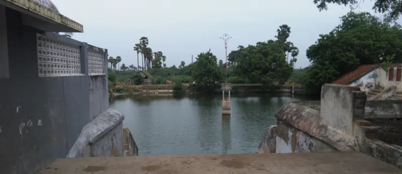 Still green water in a tank with stone steps, with trees and palms on the far bank.