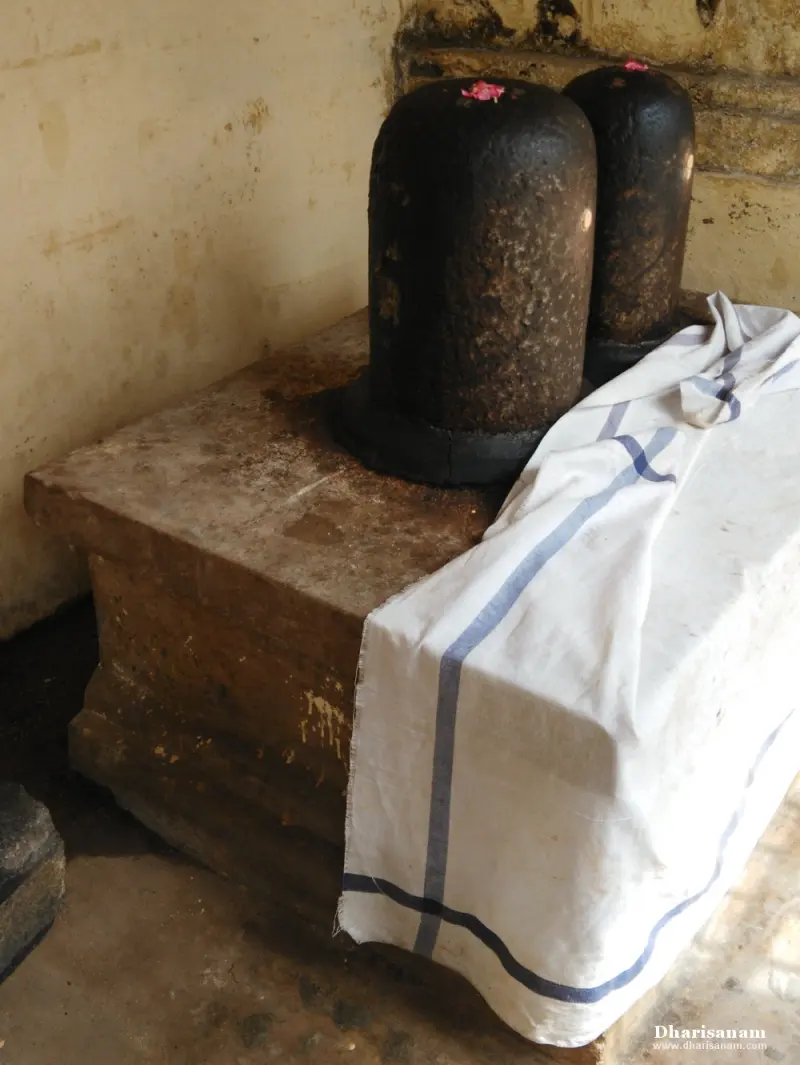Two dark stone lingams on a stone platform, with a white cloth hanging over its edge