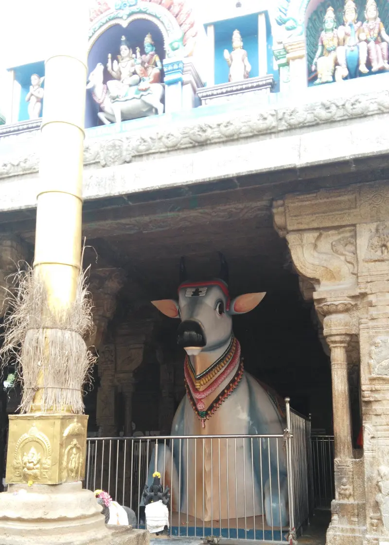 A large painted Nandhi sculpture behind a railing, beside a golden flag post