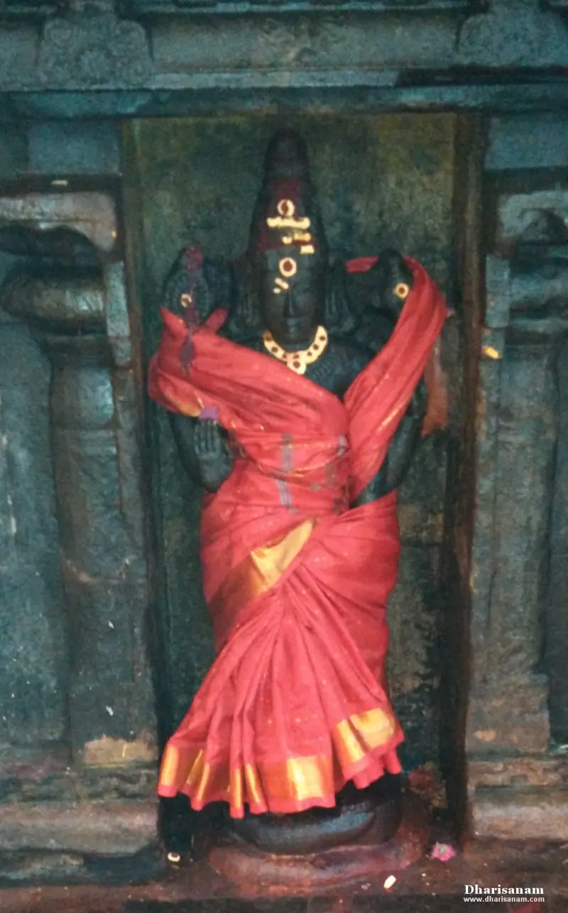 A dark stone goddess idol in a red and gold saree, standing in a wall niche