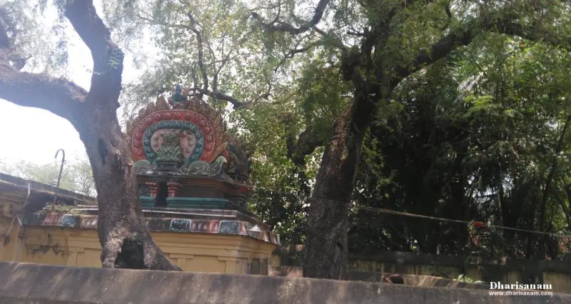 A small shrine roof with a painted arch stands between the trunks of two large trees.