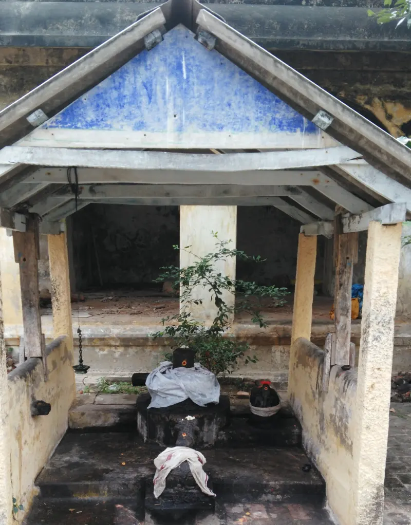 Under a pitched roof stand dark lingams on a stone base with cloths and a small green shrub, in front of an old hall.