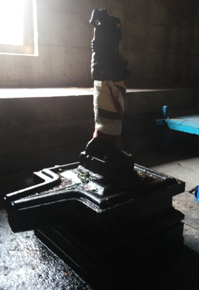 Black lingam wrapped in white cloth, wet after abhishekam