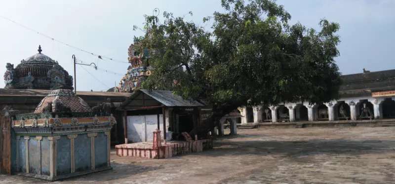 Large tree beside small shrines and an arched corridor