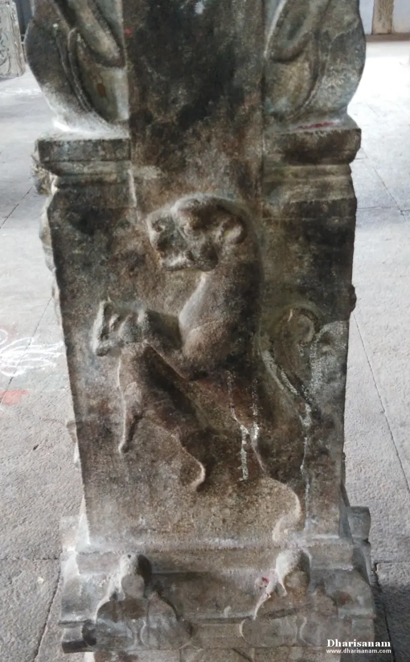 Stone pillar relief of a rearing lion-like animal facing left