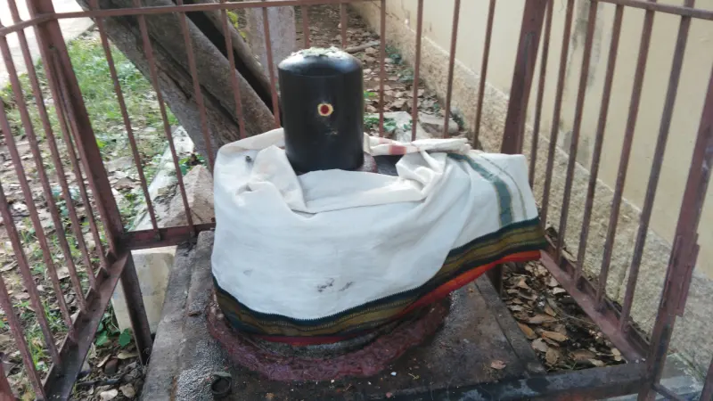 A black lingam wrapped in white cloth with a coloured border, inside iron railings, with a tree trunk behind.