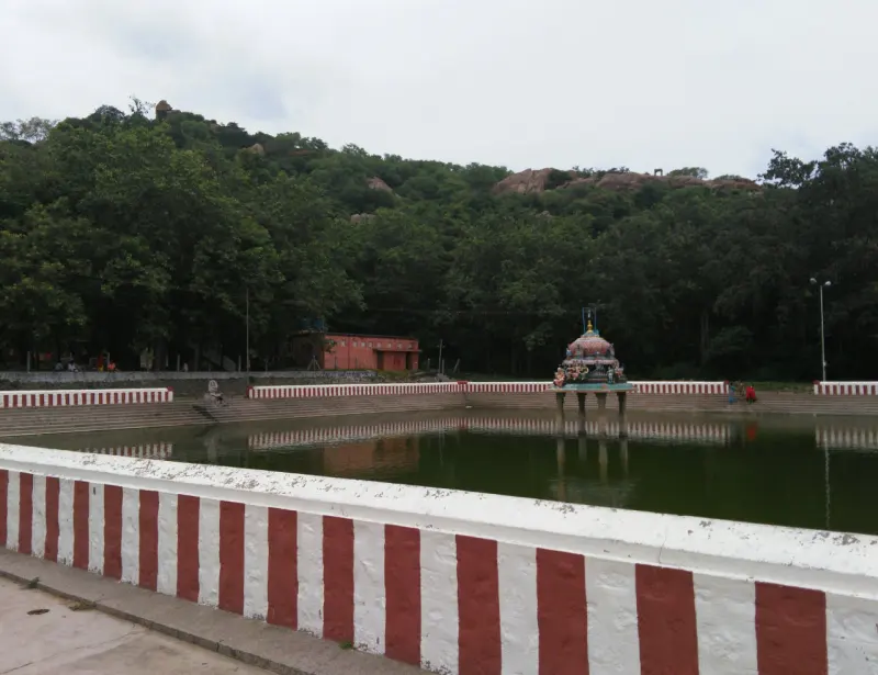A green tank with striped steps and a small pavilion, with a forested hill behind