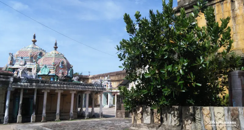 Two domed shrine roofs over a pillared hall, and a leafy tree beside a low stone wall