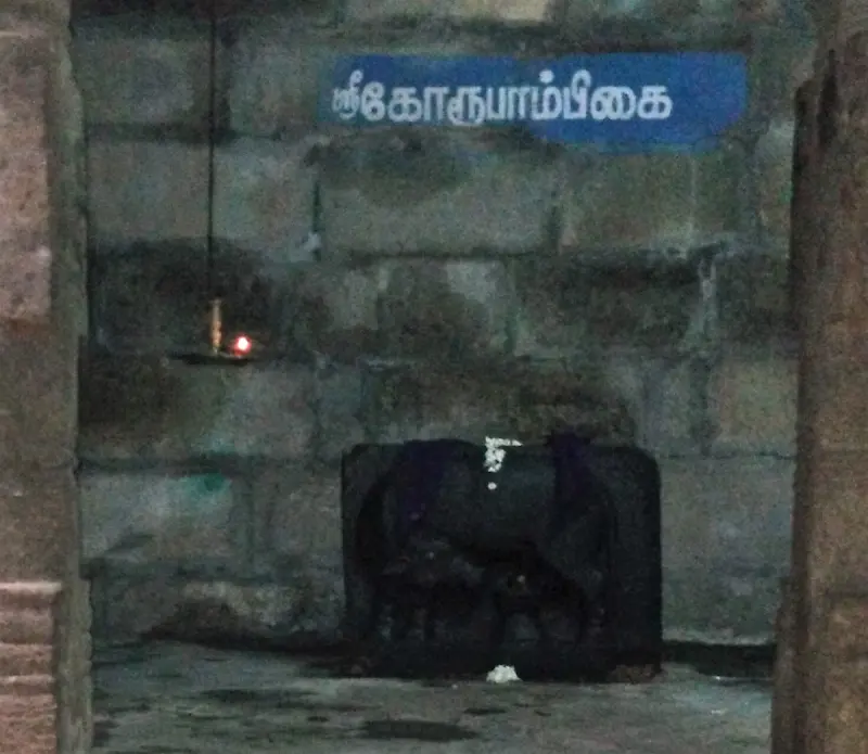 A dark stone figure of a cow lies below a blue Tamil board reading Goroopambigai