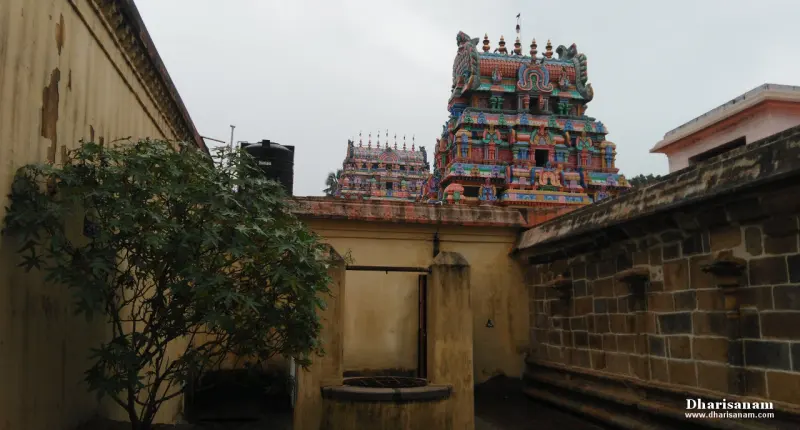 A leafy plant in the foreground, a small well enclosure, and two gopurams rising behind the walls