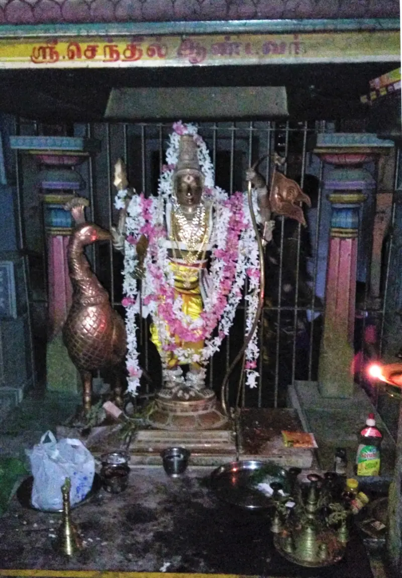 A garlanded Murugan idol with a peacock beside it, seen through a metal grille