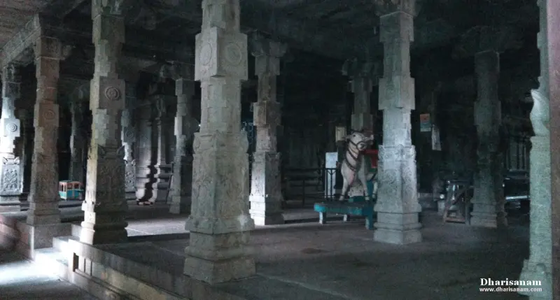 Rows of carved stone pillars in a dim hall with a decorated white horse
