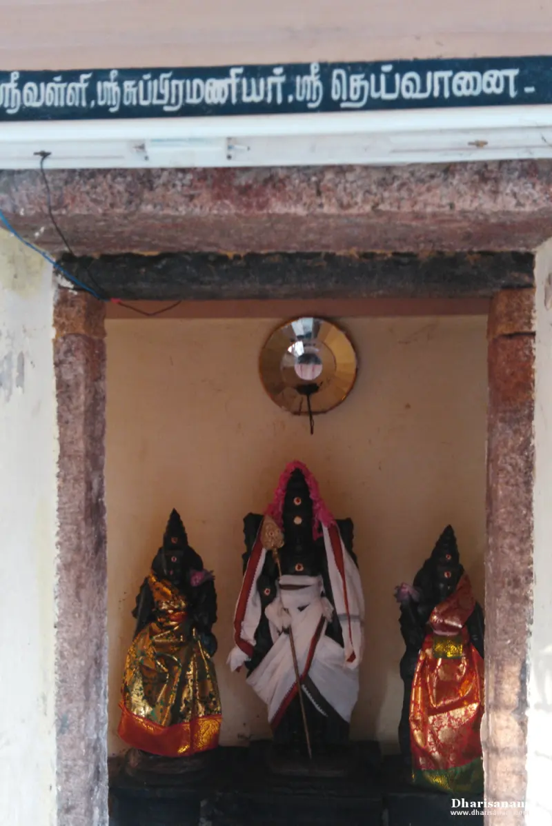 Three draped idols in a shrine under a Tamil name board