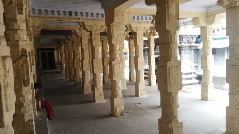 Rows of carved stone pillars supporting a hall roof