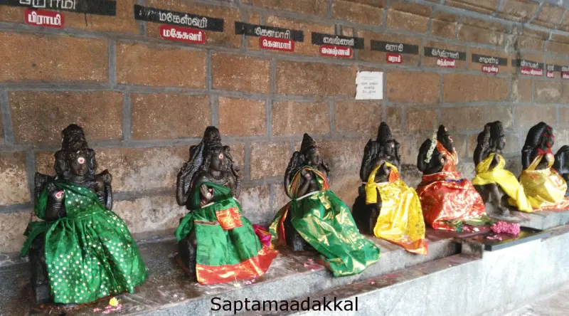 A row of black stone seated goddess idols dressed in green, yellow and orange cloth, with name boards above