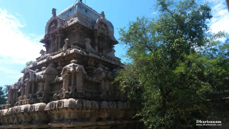 The tiered granite sanctum tower with carved sculptures, partly hidden by a leafy tree on the right