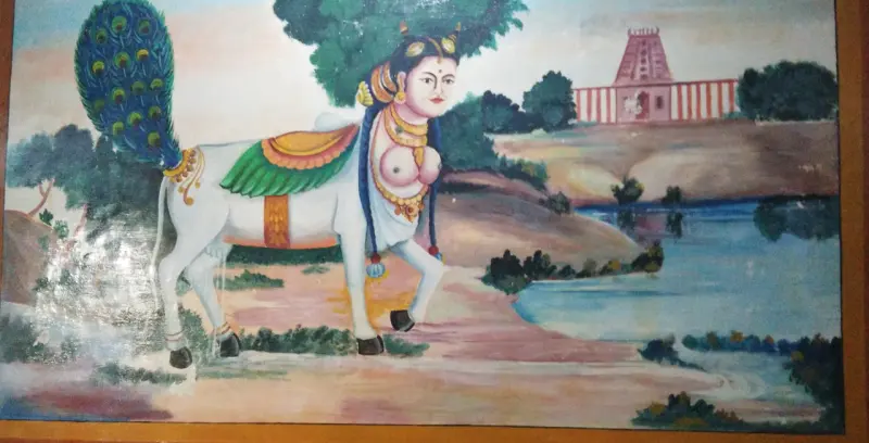 Painting: a white cow with a woman's face and peacock tail beside a pond, a temple in the distance