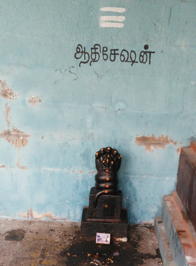 Small black cobra-hooded stone figure with kumkum dots, below a Tamil name on a blue wall